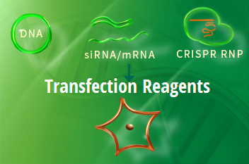 20 off new Transfection Reagents